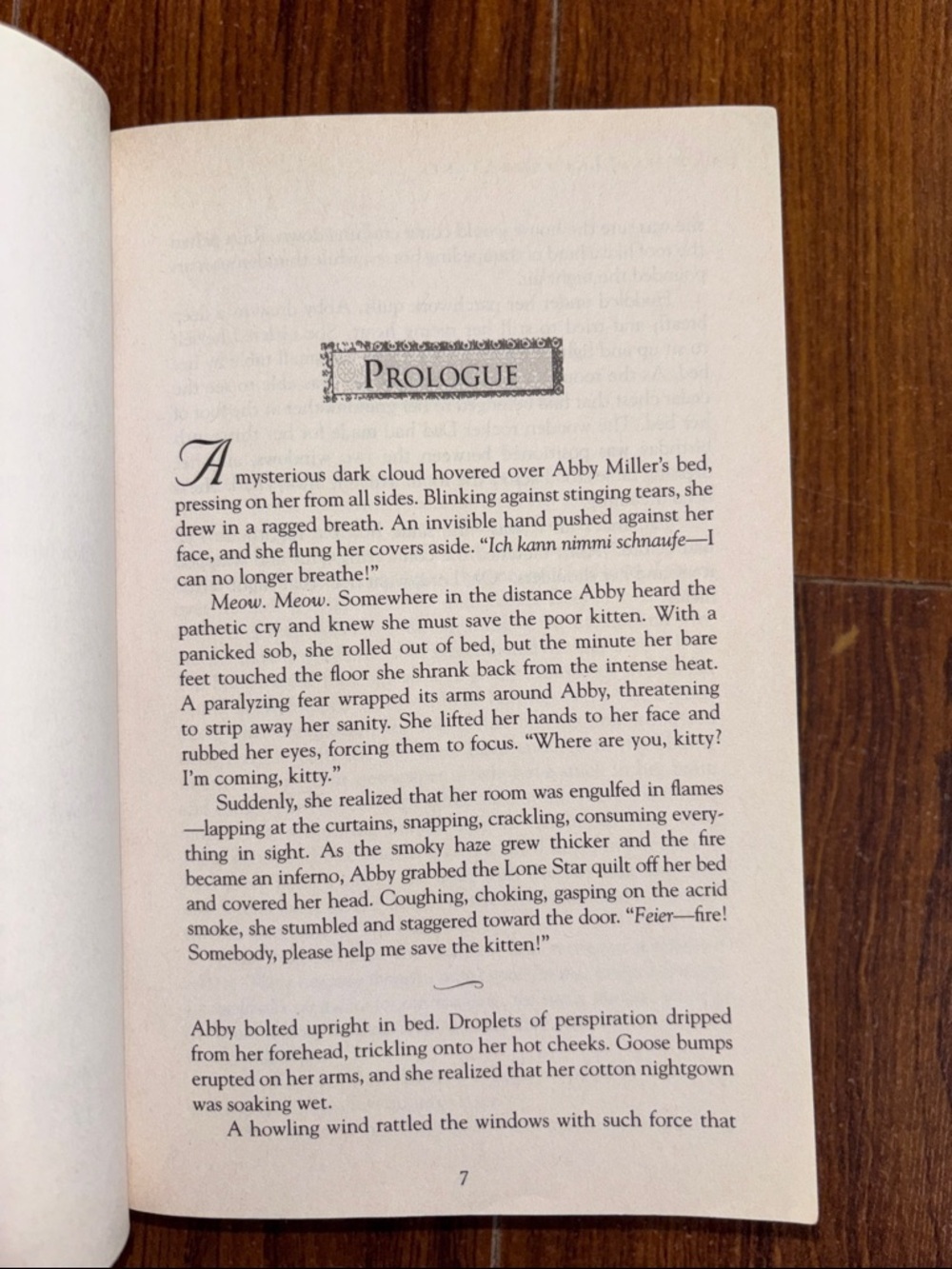 📚2 Book Bundle - Wanda E. Brunstetter | Daughters of Lancaster County Series - Picture 5 of 5